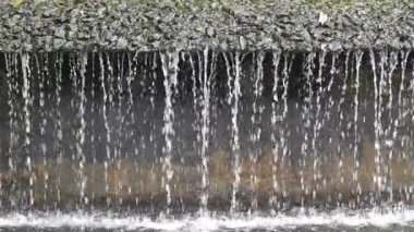 Güzel Şelale Orkide bahçesindeki doğal bir parkta Singapur .