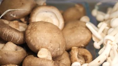 raw champignon mushroom on table .