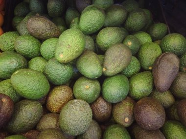 Yerel mağazada satılık bir çok avokado görüntüsü .