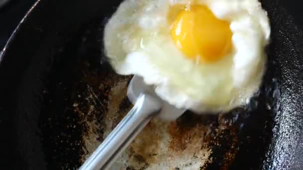 Huevos Fritos Sartén Cerca — Vídeo de stock
