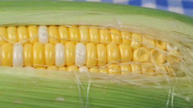 Beyaz arka planda tatlı mısırlar. Yakın plan. ,