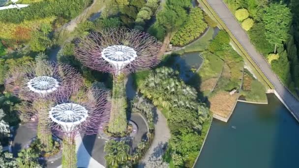 Singapore June 2022 Aerial Shot Gardens Bay Sunny Day — Stock Video