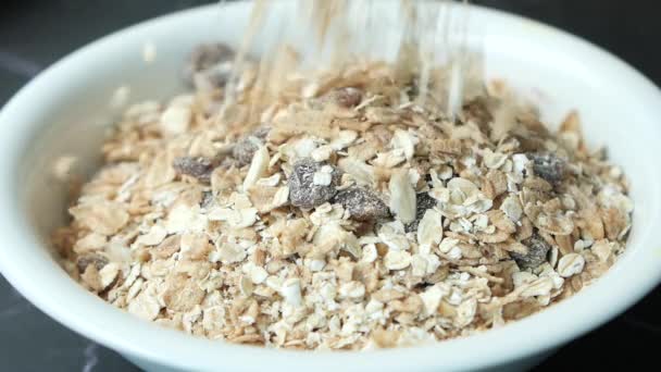 Slow Motion Oats Flakes Dropping Bowl — Vídeo de Stock