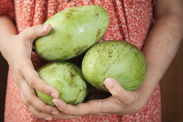 Women Holding Fresh Green Mango — Fotografia de Stock