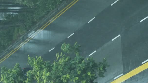Heavy Rain Pouring Empty Road Singapore City — Stok Video