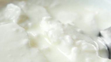 Masada taze yoğurt. .