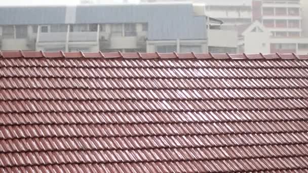 シンガポールの屋上での雨滴の動きが遅い — ストック動画