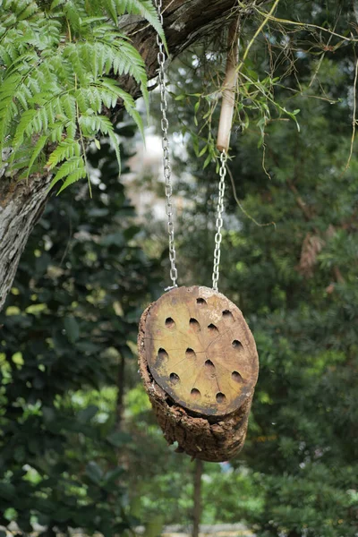 Bee Hotel Insect Hotel Tree —  Fotos de Stock