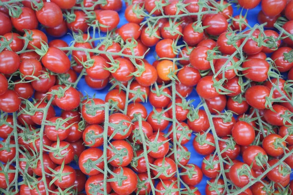 Muchos Tomate Cereza Color Rojo Mesa — Foto de Stock