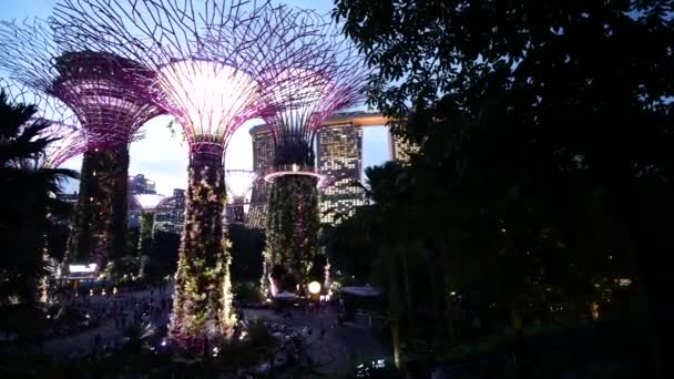 Singapur Junio 2022 Iluminación Jardines Por Bahía Por Noche — Vídeo de stock