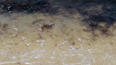  slow motion of Soft wave on sand beach ,