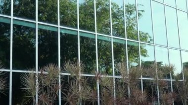 Singapur modern şehir binalarından başka detay yok