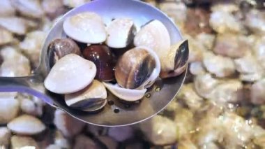 dolly shot of cockles on a plate .