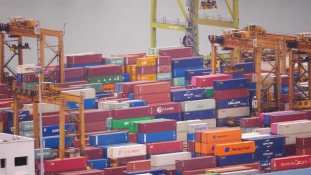 Singapore Habourfront Mei 2022 Bovenaanzicht Van Laden Vele Containers — Stockvideo