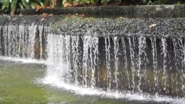 Güzel Şelale Orkide bahçesindeki doğal bir parkta Singapur .