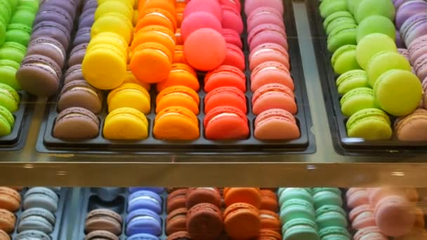 Macaroon Colorido Exibindo Para Venda — Vídeo de Stock