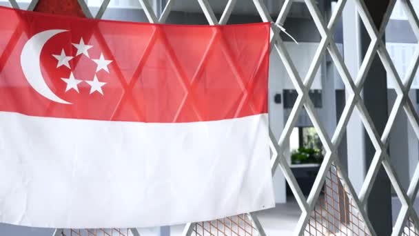 Singapurská Vlajka Oslavě Národního Dne — Stock video