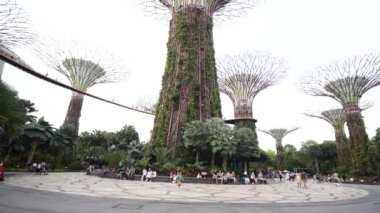Singapur 10 Haziran 2022 gece körfez kenarındaki Gardens 'ta ışıklandırma. ,