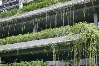  Binanın ön cephesinde bitkiler yetişiyor..