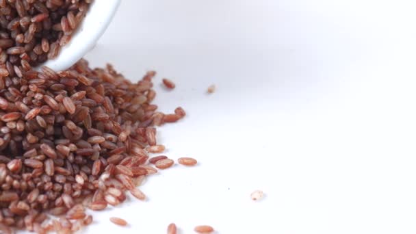 Červená Rýže Misce Stole Rýže Haradighi — Stock video