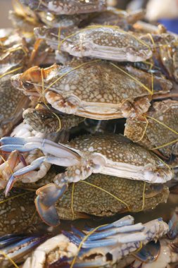 Taze tıka basa doldurun. .