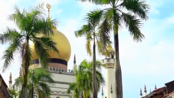 Sultão Masjid Palmeira Contra Céu Azul Singapore — Vídeo de Stock