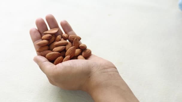 アーモンドナッツを持つ女性の手の上からの眺め — ストック動画
