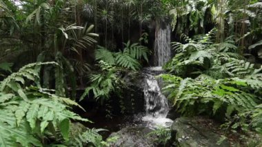 Beautiful Waterfall In a natural park in Orchid garden singapore .