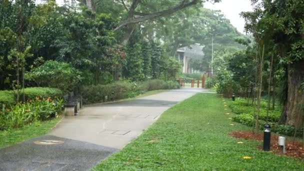 Rainy Day Empty Park Signapore — ストック動画