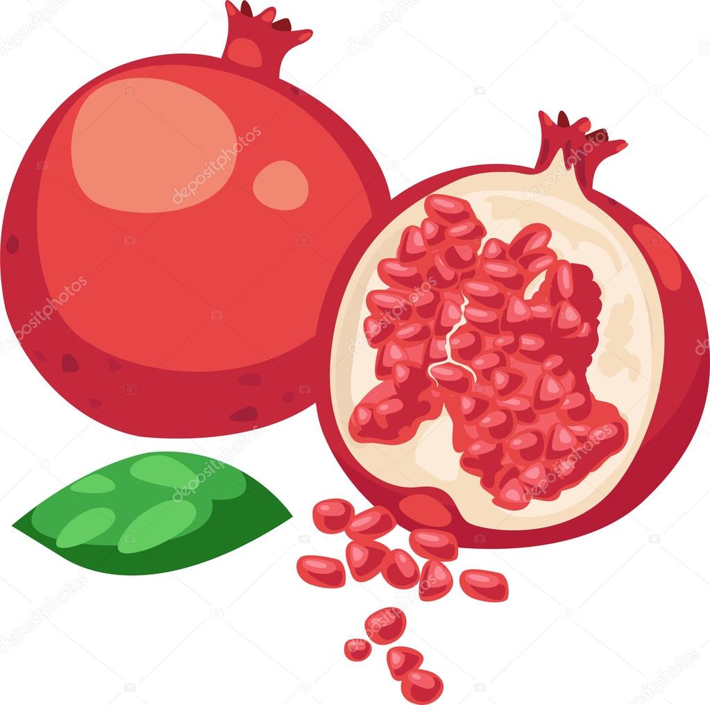 Illustration Pomegranate Fruit