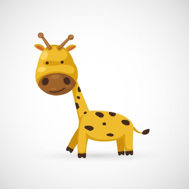 Beyaz arka planda zürafa