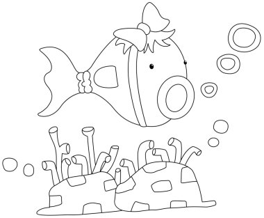 Bir balığın resmi