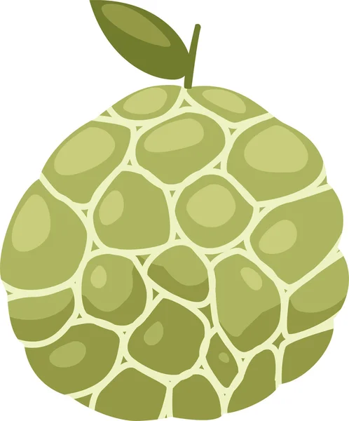 Illustration Custard apple — Stock Vector