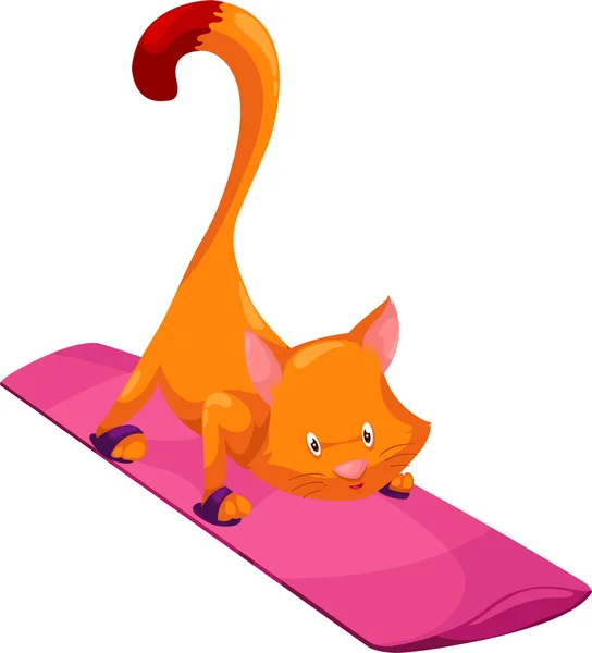 Cat extreme — Stock Vector