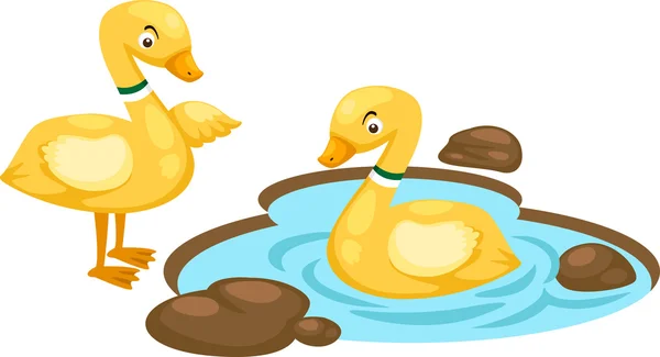 Duck family — Stock Vector