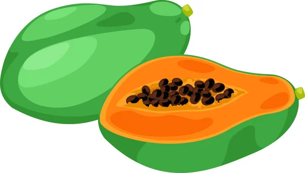 Illustration papaya — Stock Vector