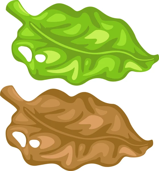 Hoja de dibujos animados — Vector de stock