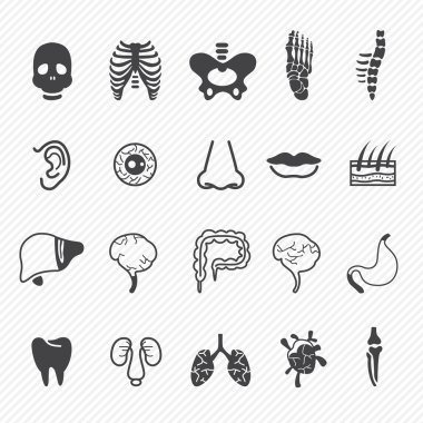 insan anatomisi simgeler