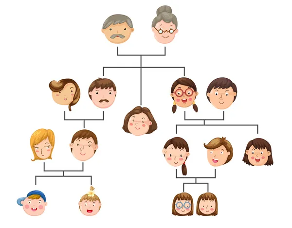 Family tree — Stock Vector