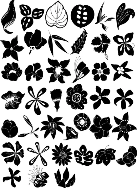 Hermosas flores — Vector de stock