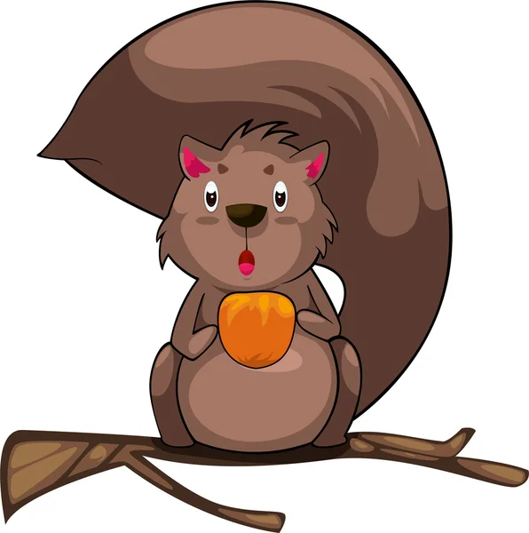 Cartoon Squirrel — Stock Vector