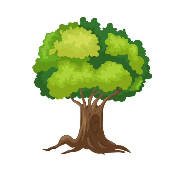 Ağaç Vektörü — Stok Vektör