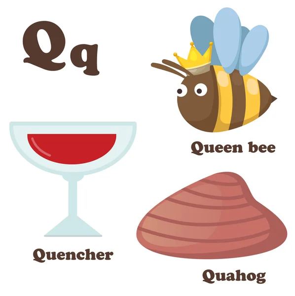 Alfabet q letter.quahog,queen bee, quencher — Stockvector