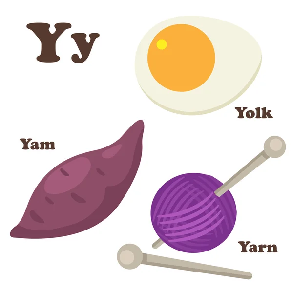 Alfabet y letter.yam,yarn,yolk — Stockvector