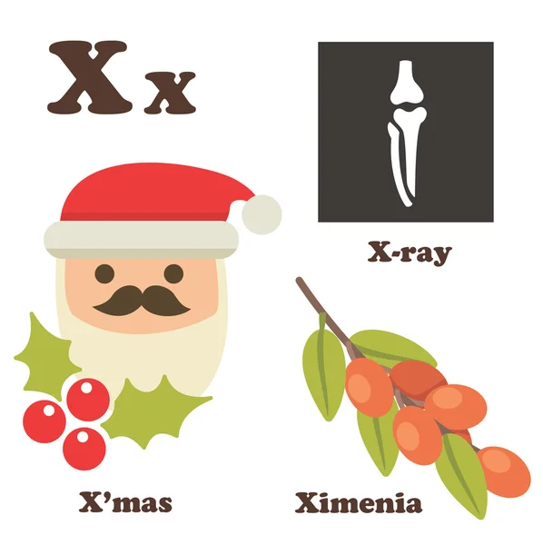 Lettera dell'alfabeto X. Natale, Ximenia, raggi X — Vettoriale Stock