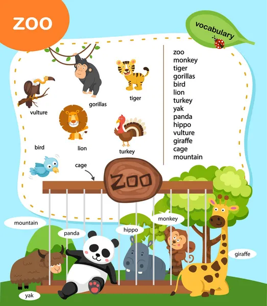 Education Vocabulary Zoo Vector Illustration — Stock Vector