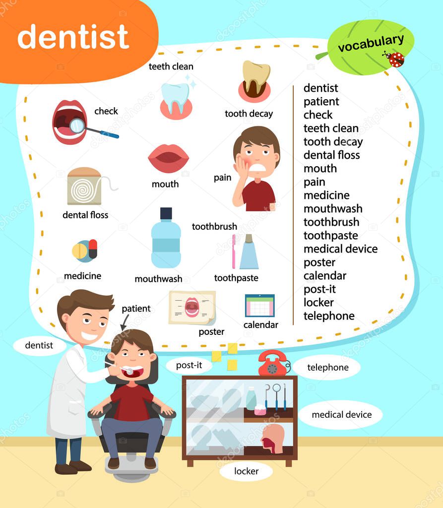 education vocabulary dentist vector illustration