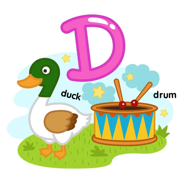 Alphabet Isolated Letter Duck Drum Illustration Vector — Archivo Imágenes Vectoriales