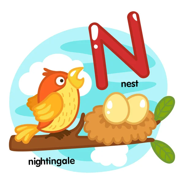 Alphabet Isolated Letter Nest Nightingale Illustration Vector — Stock vektor