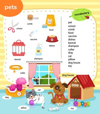 education vocabulary pets vector illustration